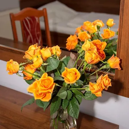 Weranda Rooms Inn Tychy