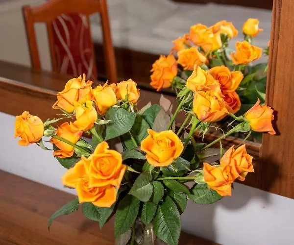 Weranda Rooms Inn Tychy